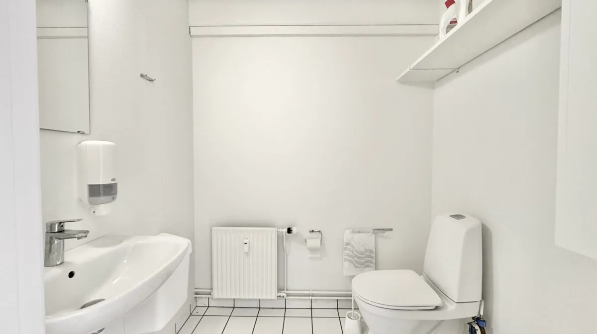 Hvidt badeværelse med håndvask, håndsæbe, toilet, toiletpapir, radiator og spejl. Rent og moderne interiør med hvide vægge