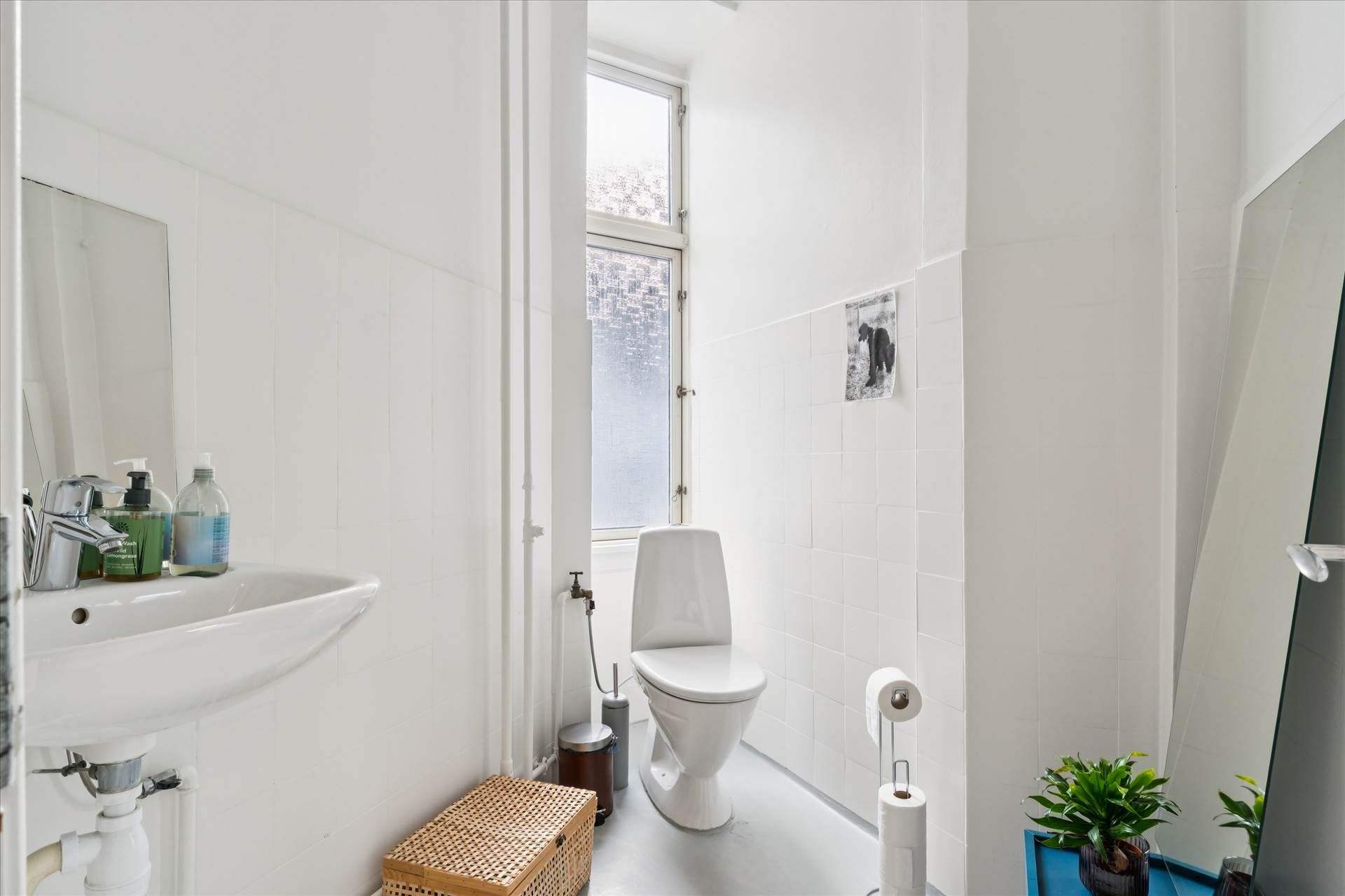 På dette billede ses et hvidt badeværelse med højloftede, hvide vægge, et hvidt toilet, et hvidt vask og en plante på et bord