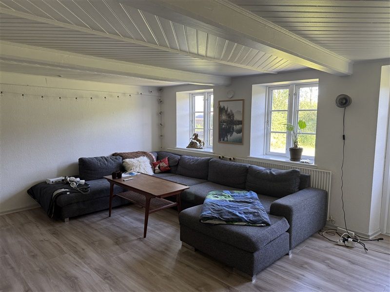 Billede af et lyse stue med hvidt loft, højt gulv og vinduer med gardiner og plantepotte