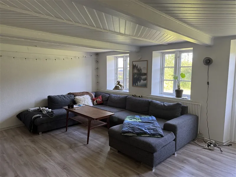 Billede af et lyse stue med hvidt loft, højt gulv og vinduer med gardiner og plantepotte