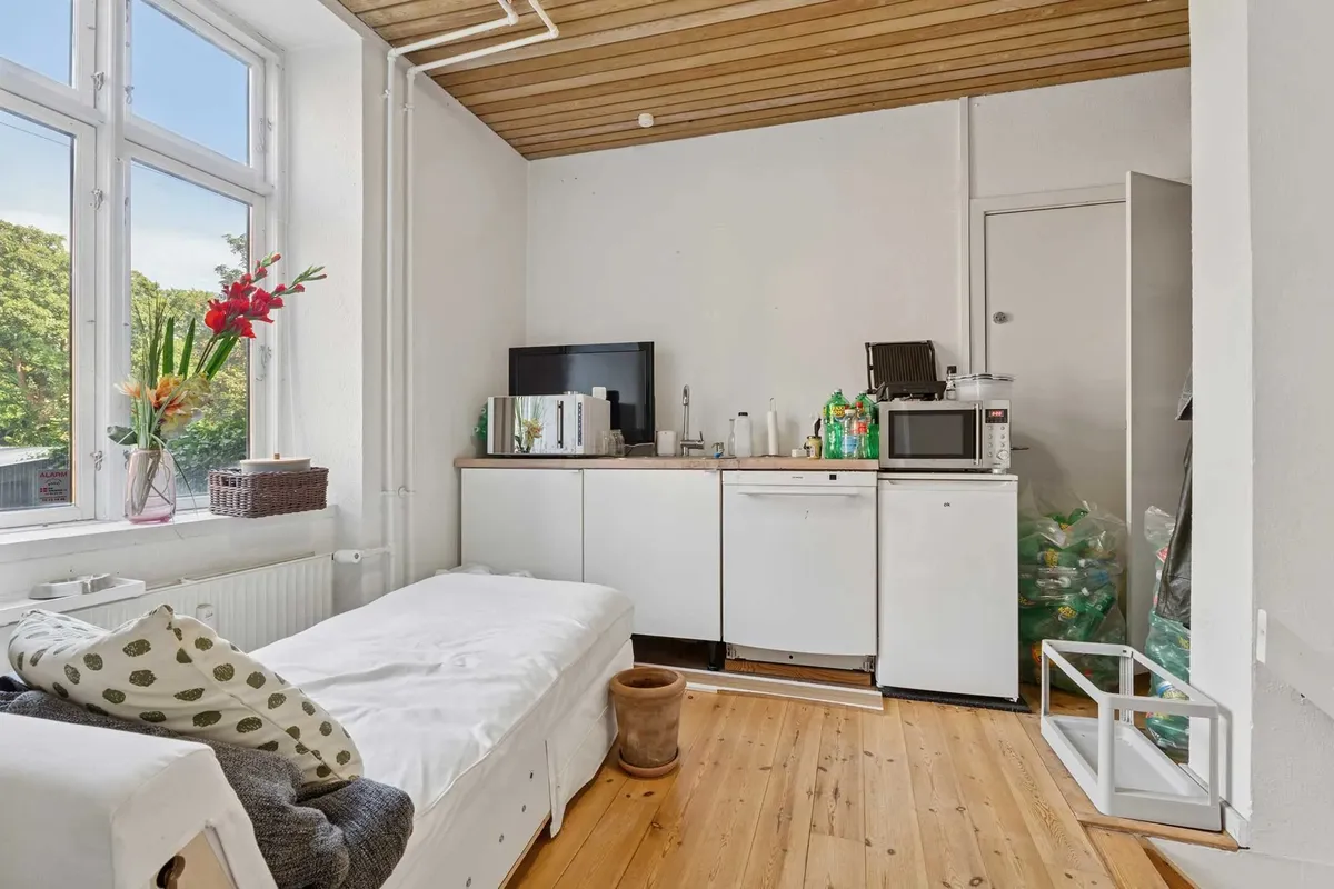 Hvidt værelse med sovesofa, skrivebord og tøjvask samt udendørs terrasse med grønne træer og vindue med blomster