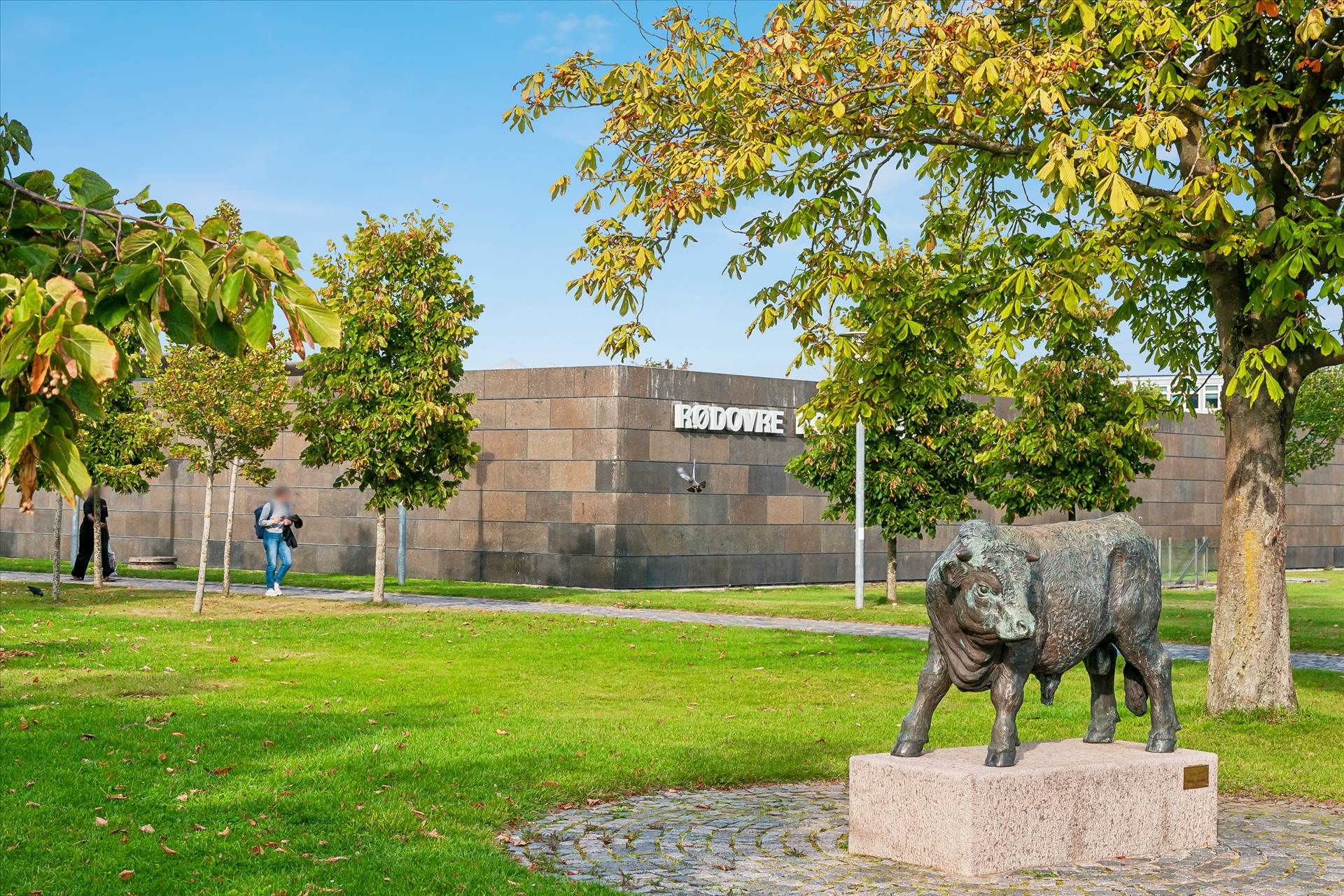 En statue af en okse står på en betonplade i en park med træer og græs samt en stor bygning med teksten Rodovre