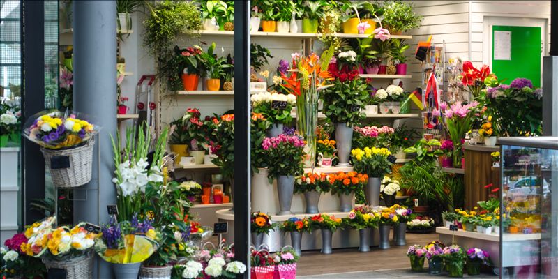 Blomsterbutik med mange farverige blomster og planter i lyse farver i glas og metal potter på hylder og på gulvet