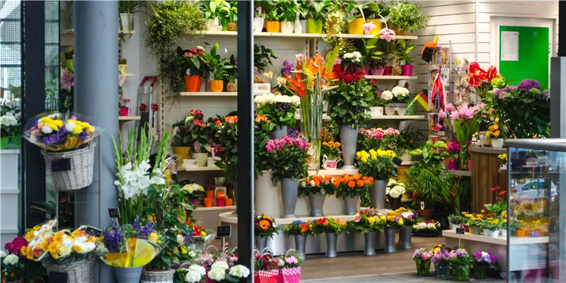 Blomsterbutik med mange farverige blomster og planter i lyse farver i glas og metal potter på hylder og på gulvet