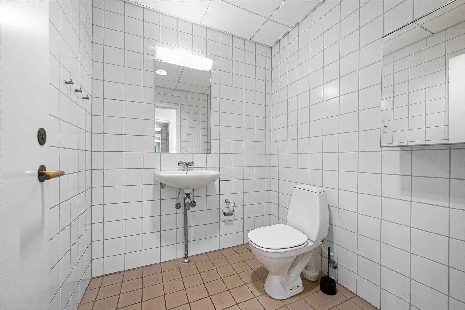 Toilette med toiletbørste, to spidse metalhåndtag og spejl samt en hvid vask med vandhane og toiletpapir