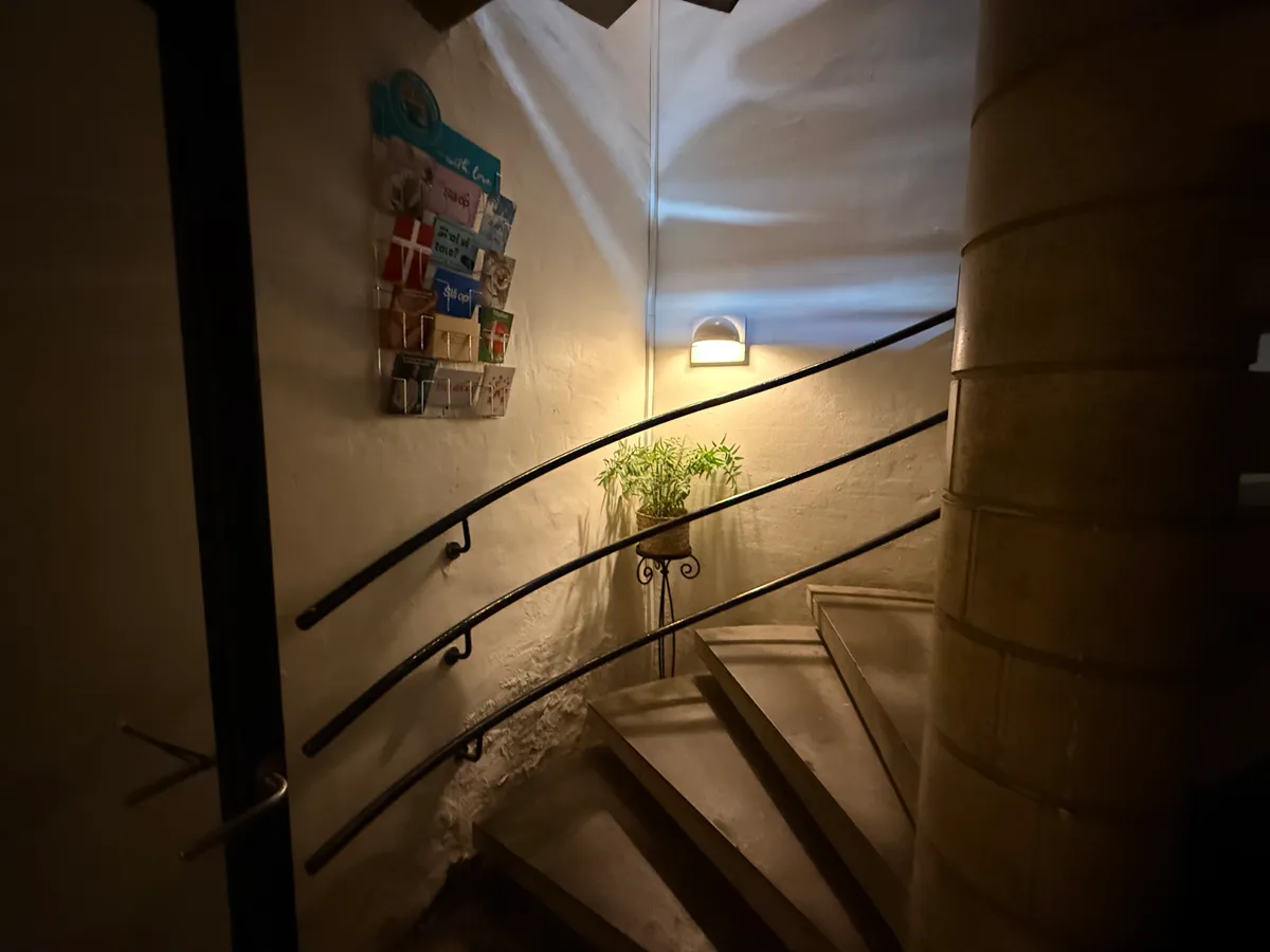 En stige med mørke håndtag og plante i potte fører op til et rum med hvid væg og lyse papirsedler