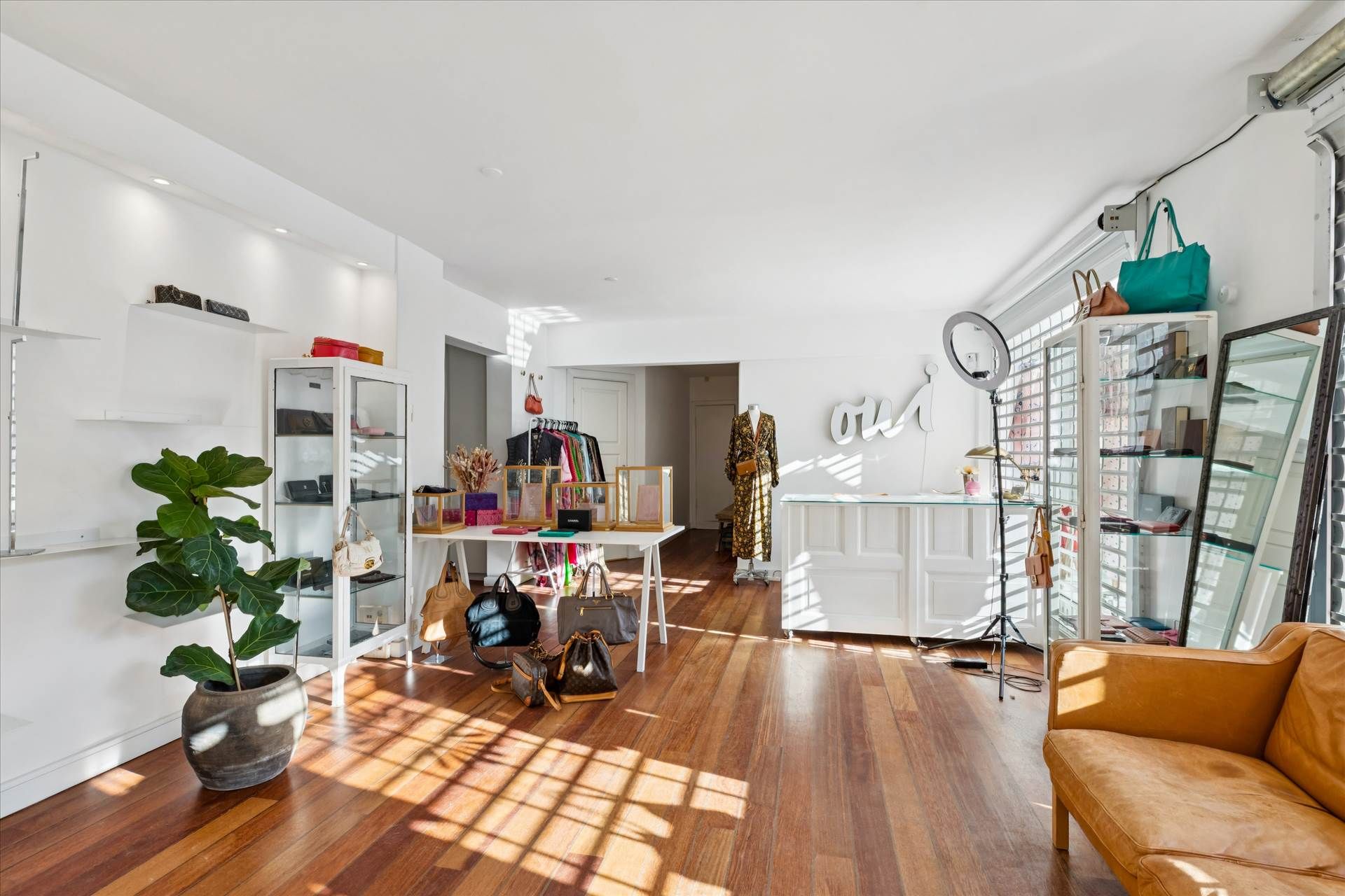 Store vinduer og moderne indretning med trægulv og møbler, hvor en lædersofa står på højre side og en plante på venstre side