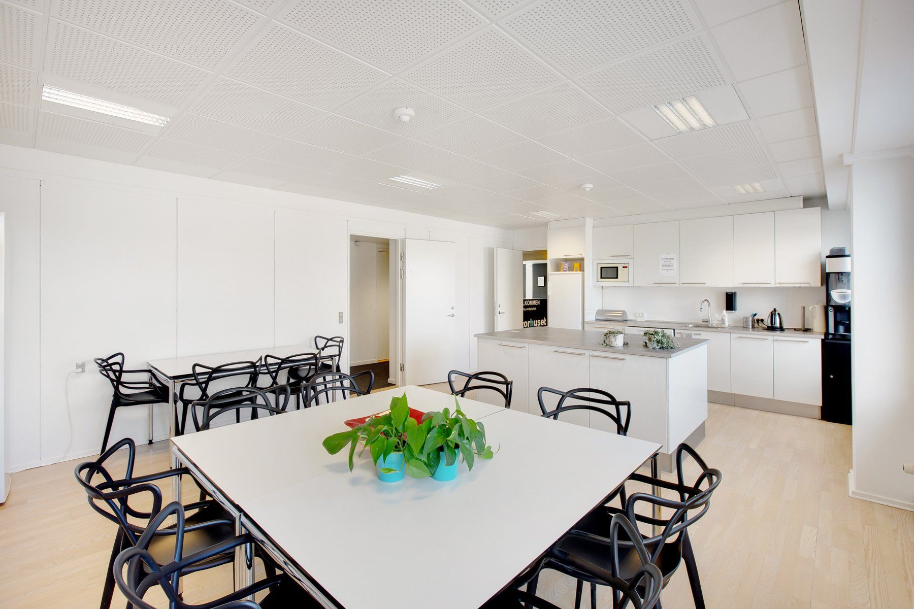 Et moderne køkken med hvide vægge og højloft, hvor der er et bord med planter og to stole samt køkkenudstyr og en dør, der