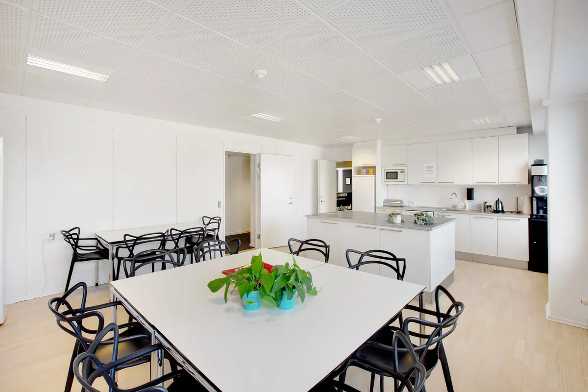 Et moderne køkken med hvide vægge og højloft, hvor der er et bord med planter og to stole samt køkkenudstyr og en dør, der