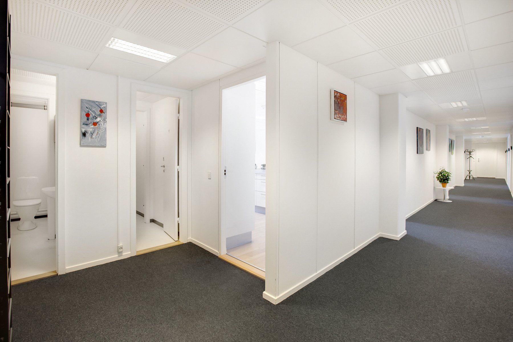 En moderne, hvidt indrettet kontorgang med åbne døre, lyse gulve og vægkunst. En toiletrum og plante på et bord er synlige i