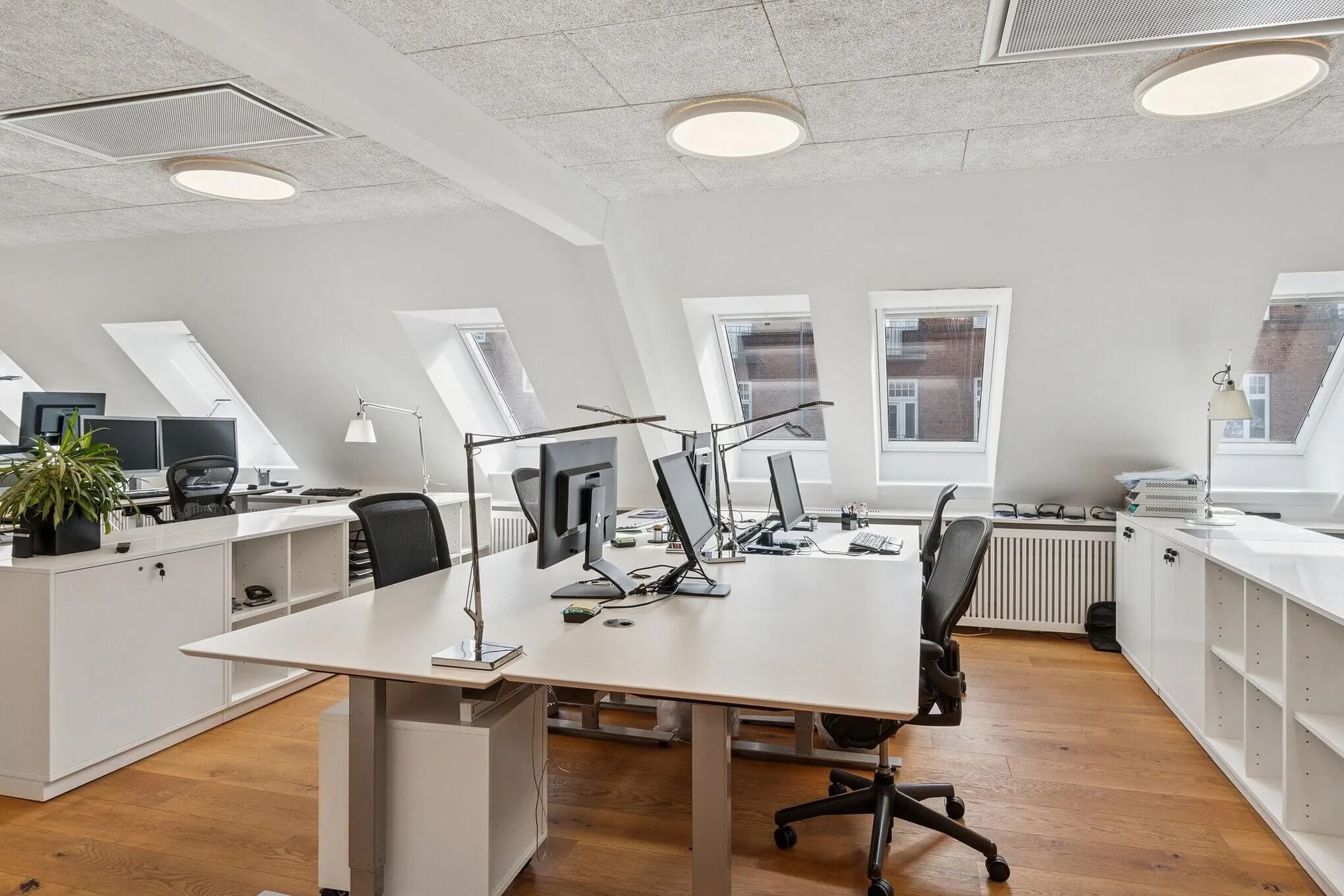 Kontorlokaler med højt til loftet og moderne møbler i en hvid farve. Kontorbord med skærme og lamper samt plante og to