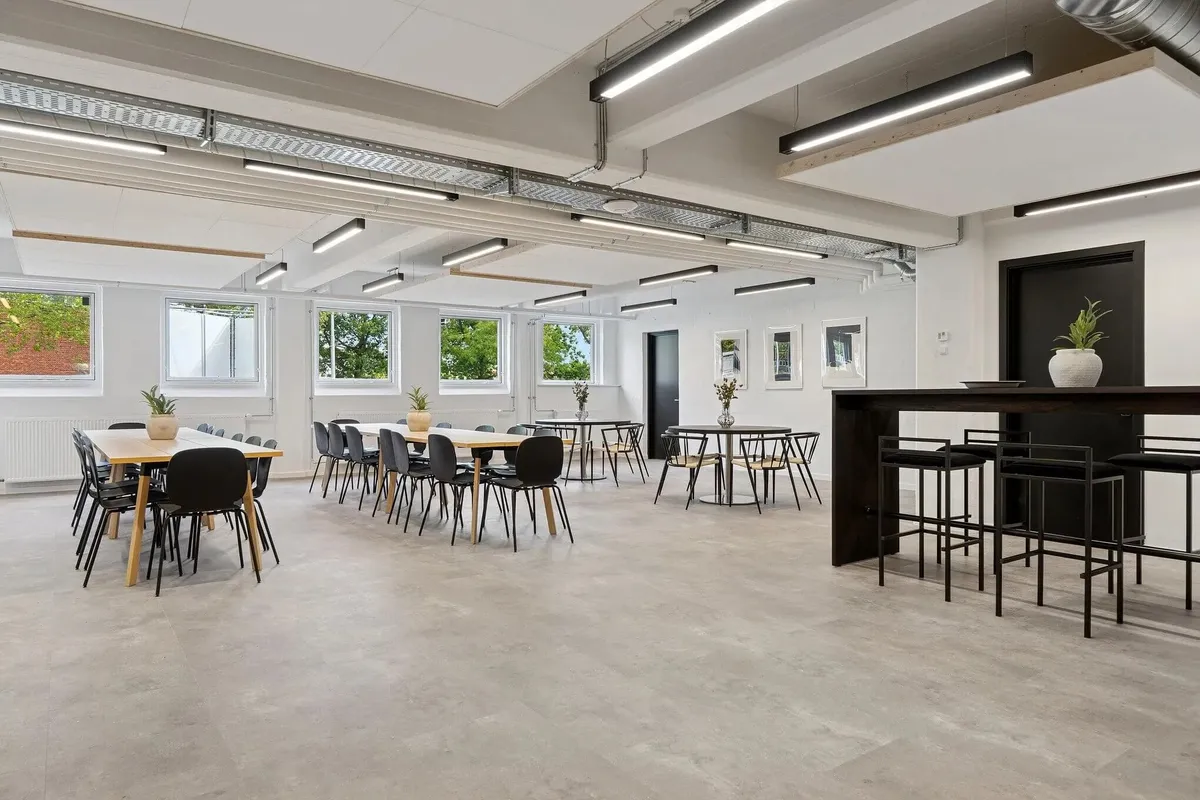 Store lokaler med lyse møbler og plantepotter og loftslamper til belysning