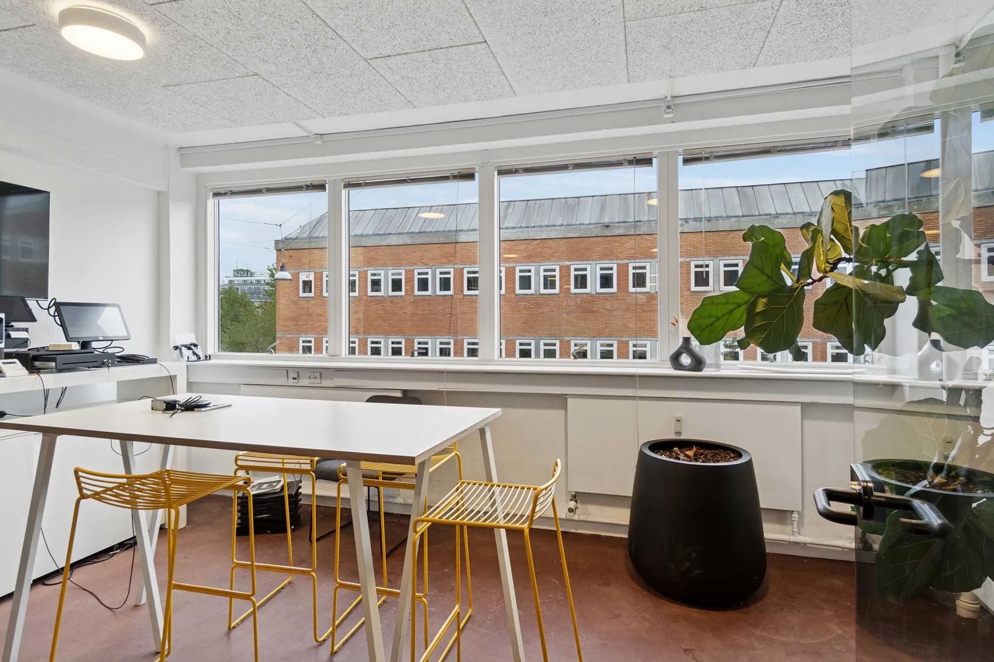 Et kontor med moderne indretning og højt til loftet. Væggen er hvid med flere vinduer og kunstig plante i en sort potte.