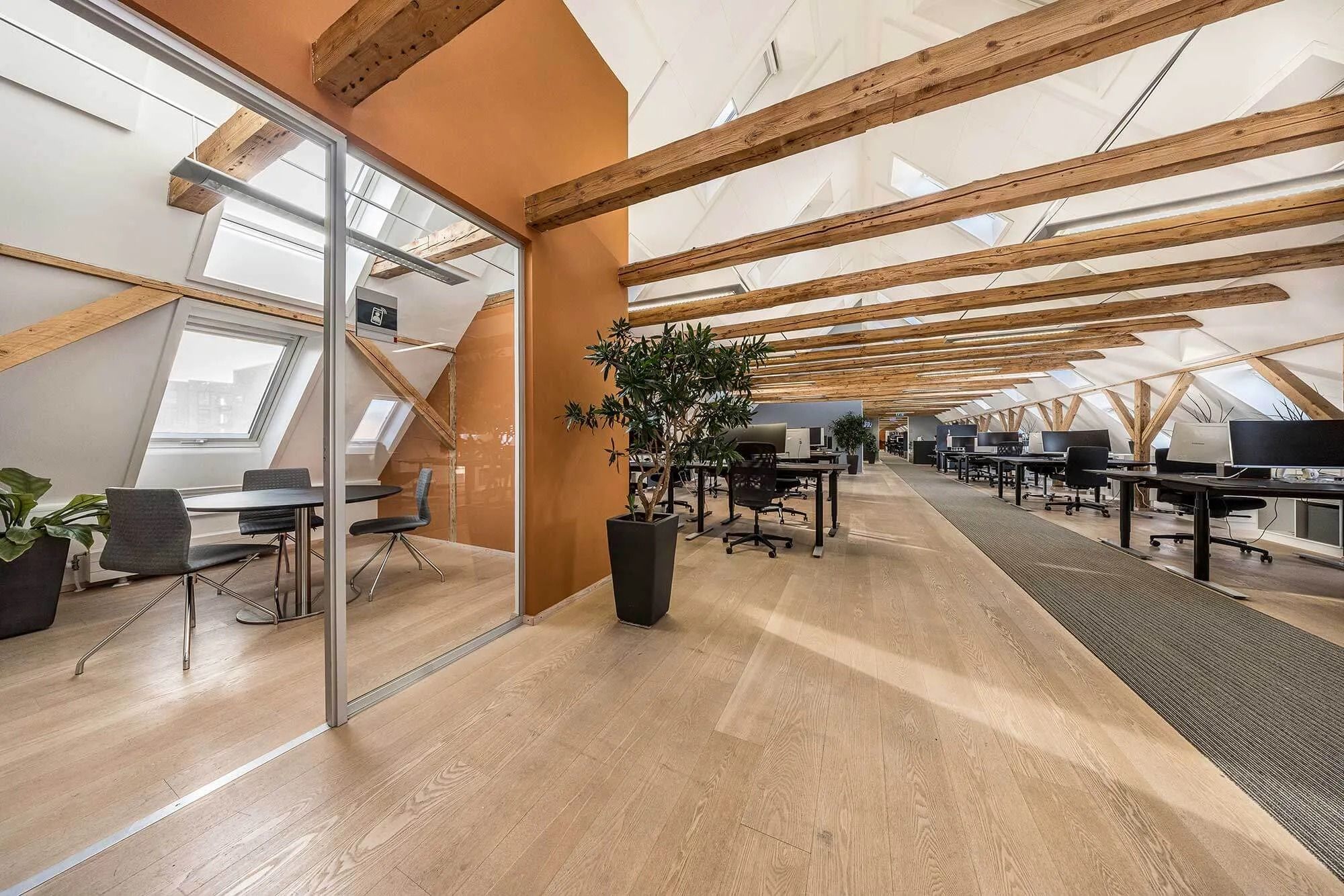 Modernt kontorlokale med åbent layout, lyse gulve og træloft. Rundt om er der skriveborde, stole og planter.