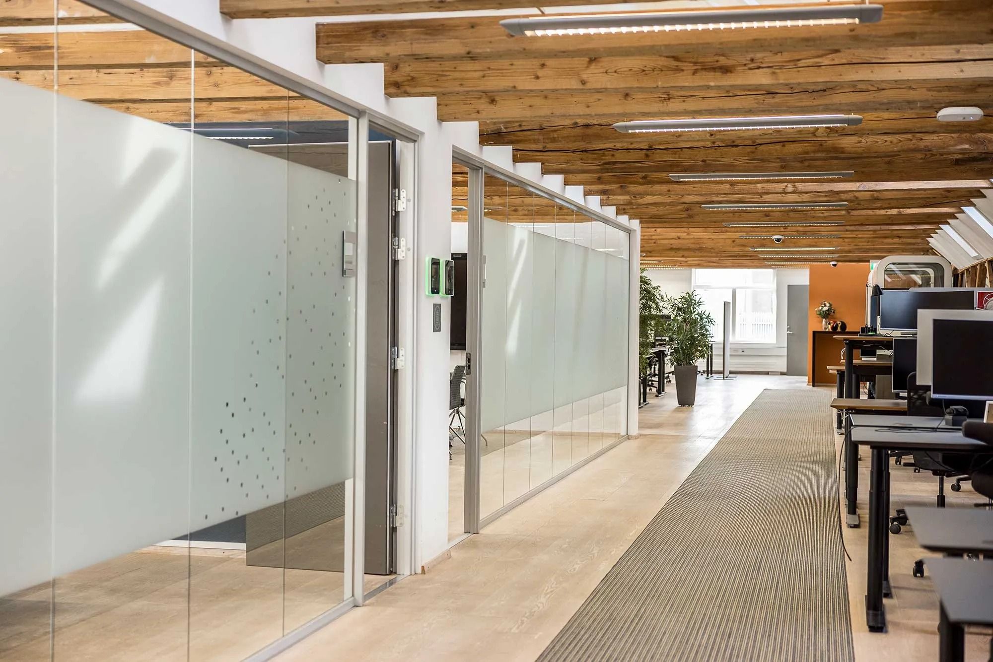 Kontorrum med højt loft, glasvægge og en stor plante i enden af rummet