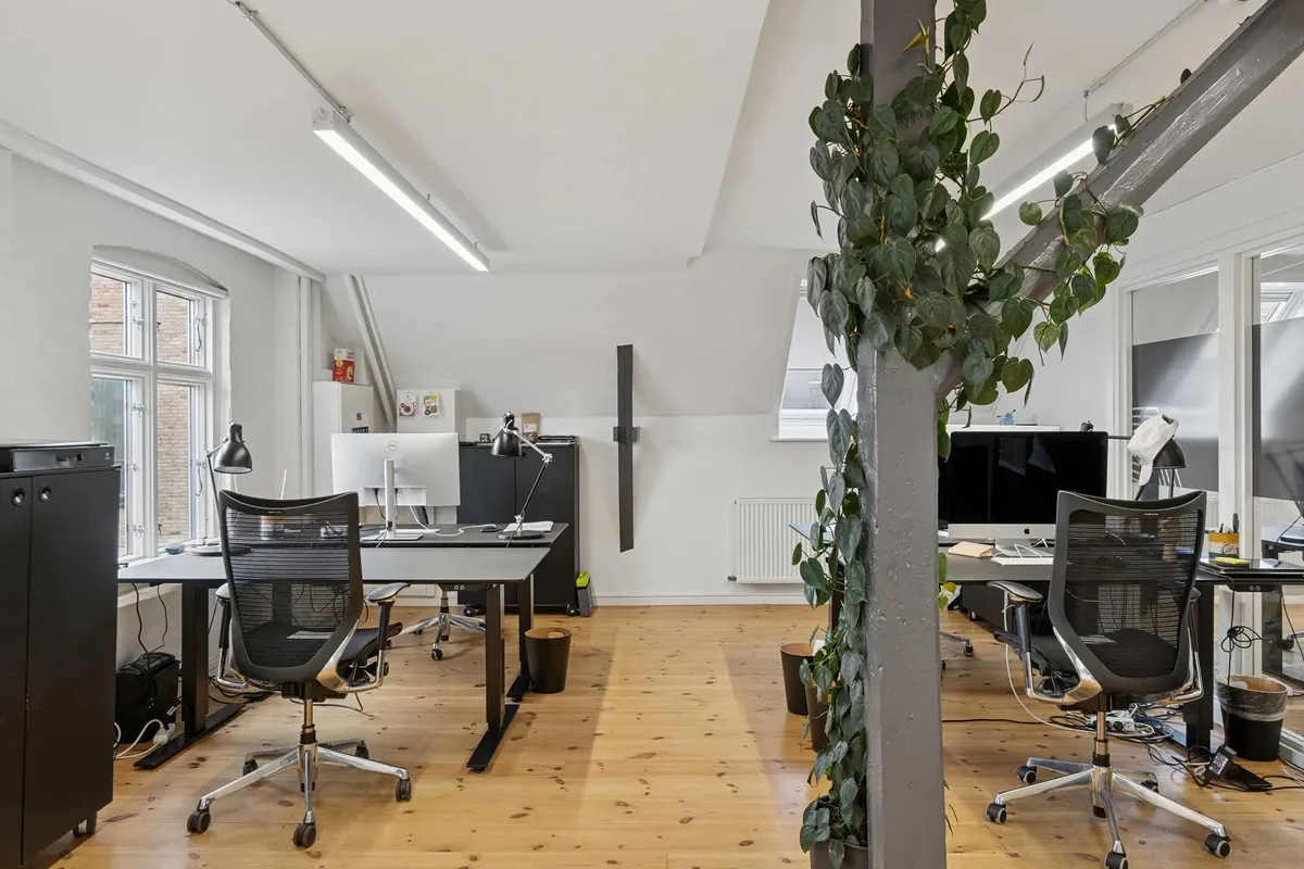 Kontor med to skriveborde, moderne stole, to monitorer, højplantet skraldespand, lysekroner, plante, hvidt loft, lysegul