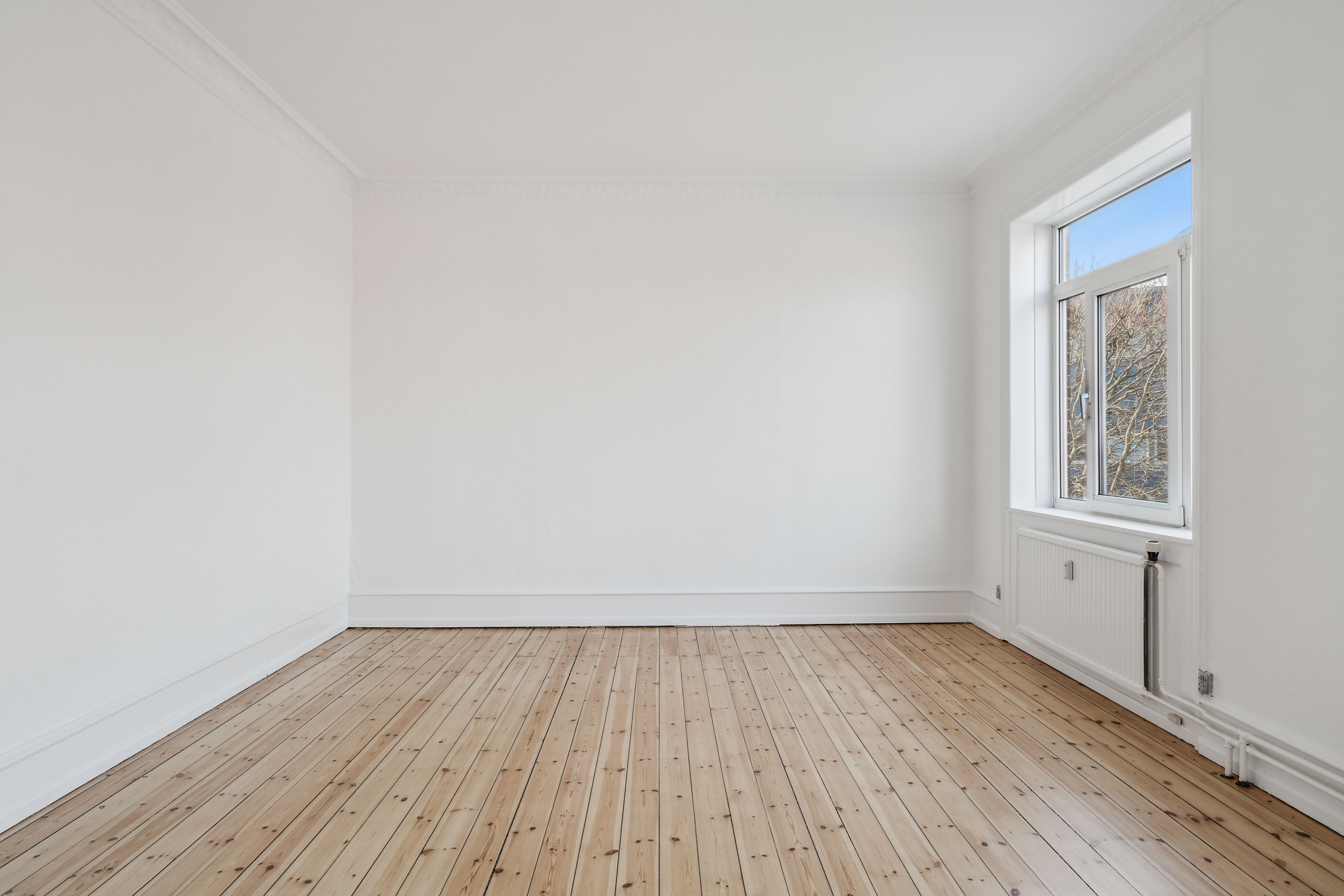 Et tomt, lyse og rent kontor med hvidmalede vægge og trægulv, samt en åben sølvfarvet rude med udsigt til en træstamme