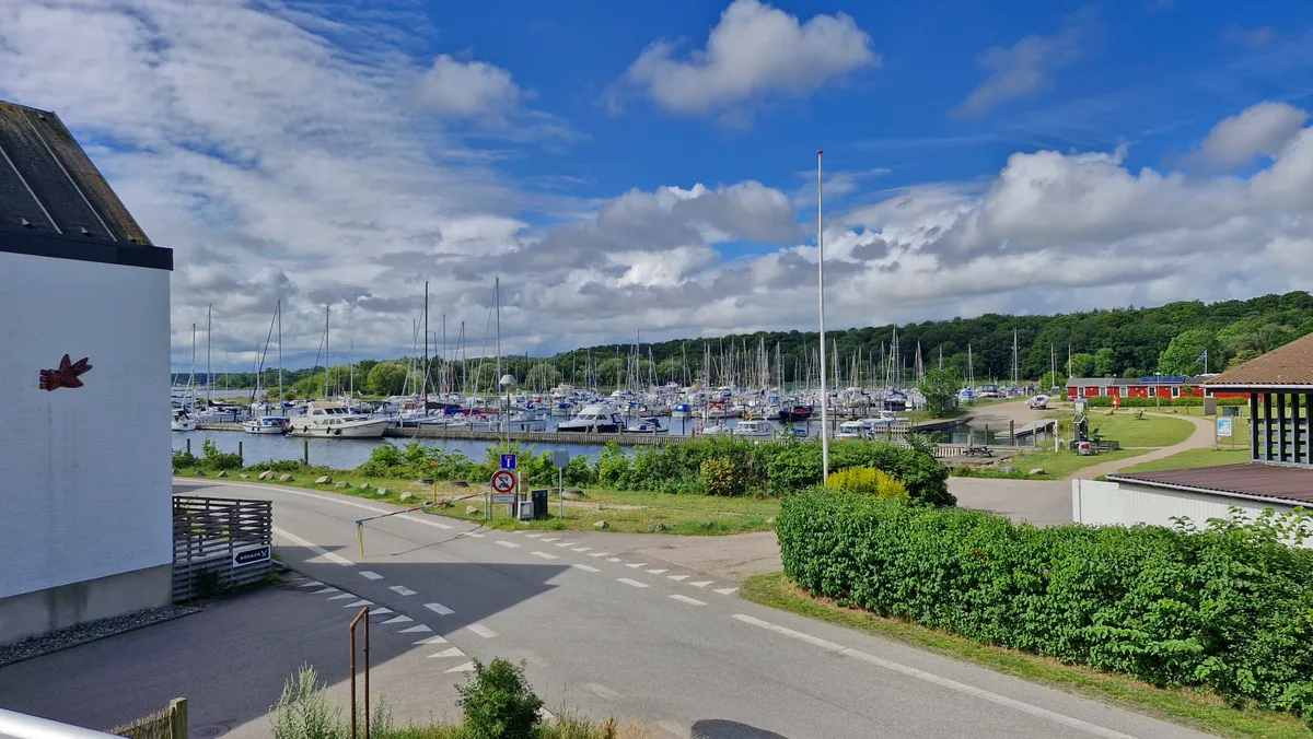 En havn med mange både, et skilte med advarselsskilt og nogle buske og planter i forgrunden og en parkeringsplads i