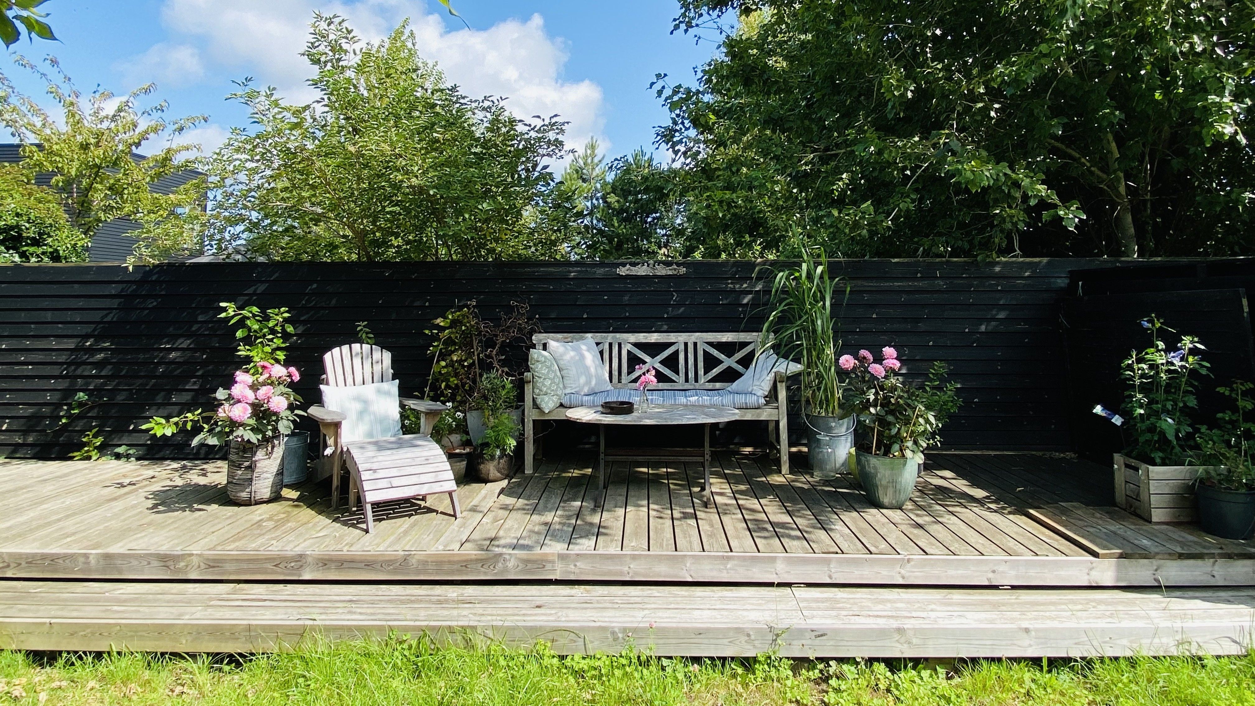 Et trægulv med to stole, en hvid bænk, et lille rundt bord og flere lyserøde roser i potter bag en sort hegnetræsmur