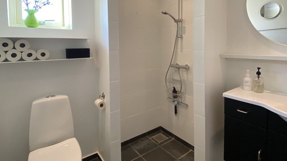 Et moderne, rent badeværelse med en hvid toilet, et hængende toiletpapir, en brusekabine og en håndvask med sæbeflasker