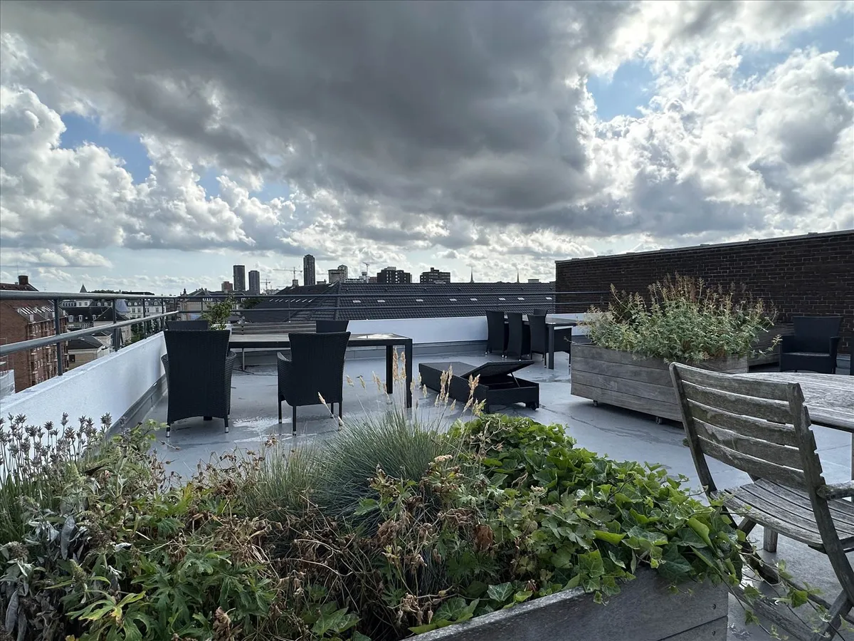 Kontor med tagterrasse og møbler og planter på terrassen og byudsigt